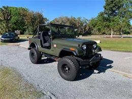 1979 Jeep CJ7 (CC-1799676) for sale in Cadillac, Michigan