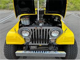 1966 Jeep CJ5 (CC-1799680) for sale in Cadillac, Michigan