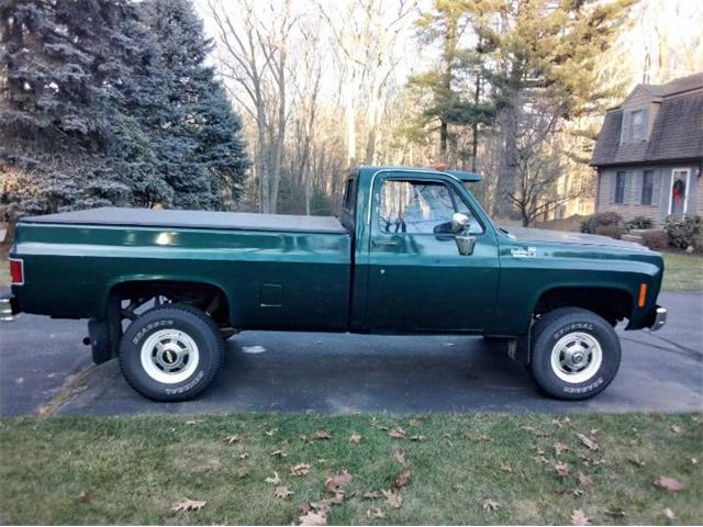 1974 Chevrolet Silverado (CC-1799687) for sale in Cadillac, Michigan