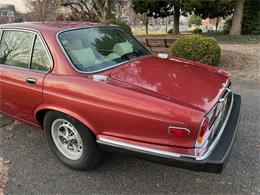 1986 Jaguar XJ6 Vanden Plas (CC-1801224) for sale in Lancaster, Pennsylvania