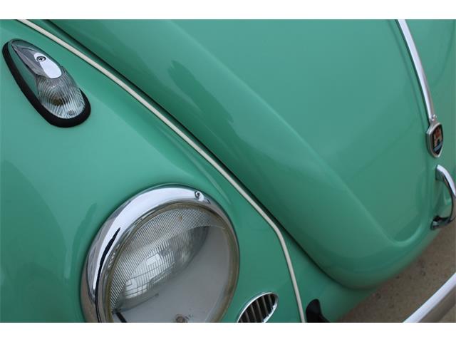 1960 Volkswagen Beetle (CC-1801311) for sale in O'Fallon, Illinois