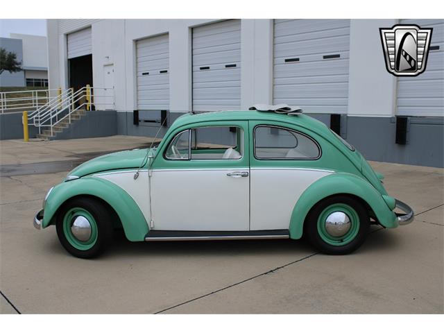 1960 Volkswagen Beetle (CC-1801311) for sale in O'Fallon, Illinois