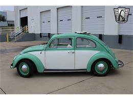1960 Volkswagen Beetle (CC-1801311) for sale in O'Fallon, Illinois