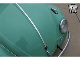 1960 Volkswagen Beetle (CC-1801311) for sale in O'Fallon, Illinois