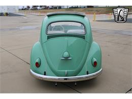 1960 Volkswagen Beetle (CC-1801311) for sale in O'Fallon, Illinois