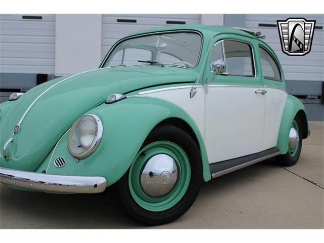 1960 Volkswagen Beetle (CC-1801311) for sale in O'Fallon, Illinois