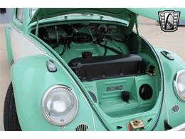 1960 Volkswagen Beetle (CC-1801311) for sale in O'Fallon, Illinois