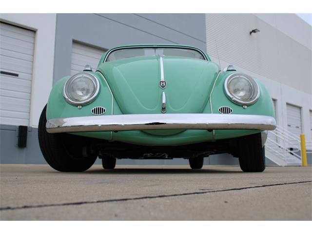 1960 Volkswagen Beetle (CC-1801311) for sale in O'Fallon, Illinois
