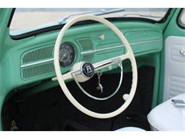 1960 Volkswagen Beetle (CC-1801311) for sale in O'Fallon, Illinois