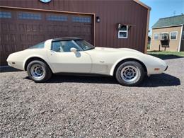 1979 Chevrolet Corvette (CC-1801815) for sale in Ft. McDowell, Arizona