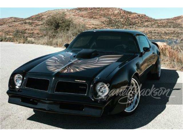 1976 Pontiac Firebird Trans Am for Sale