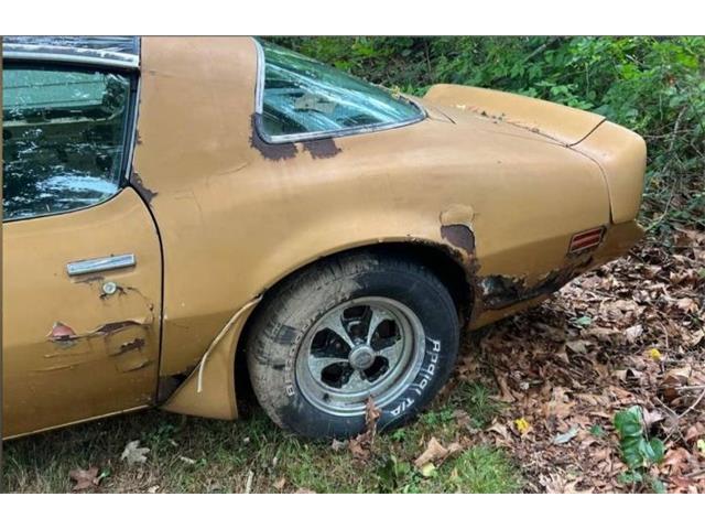 1980 Pontiac Firebird Trans Am (CC-1802834) for sale in Cadillac, Michigan