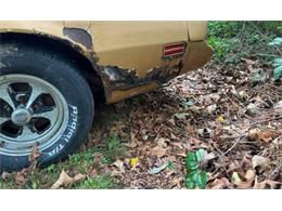 1980 Pontiac Firebird Trans Am (CC-1802834) for sale in Cadillac, Michigan
