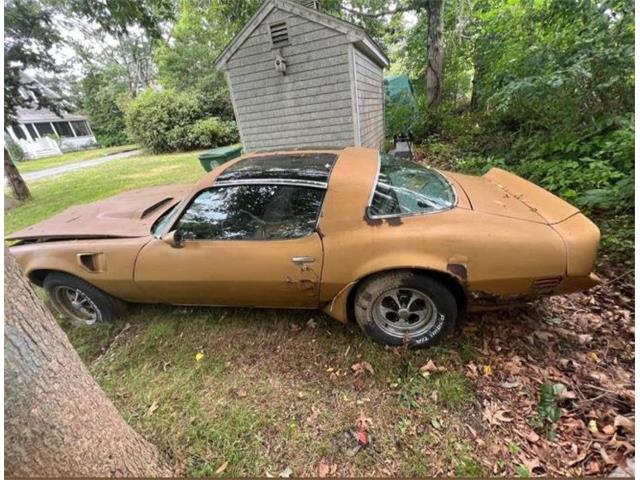 1980 Pontiac Firebird Trans Am (CC-1802834) for sale in Cadillac, Michigan