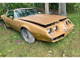 1980 Pontiac Firebird Trans Am (CC-1802834) for sale in Cadillac, Michigan
