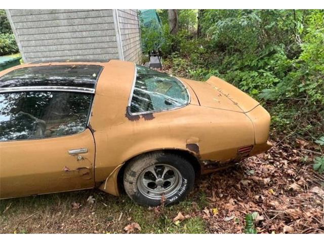 1980 Pontiac Firebird Trans Am (CC-1802834) for sale in Cadillac, Michigan