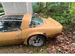 1980 Pontiac Firebird Trans Am (CC-1802834) for sale in Cadillac, Michigan