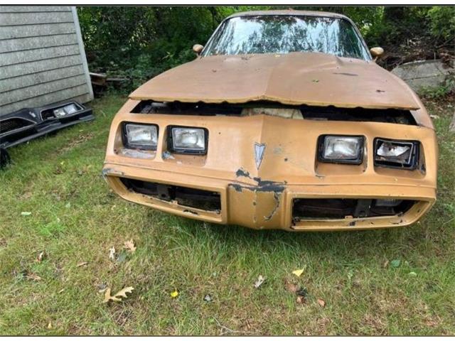 1980 Pontiac Firebird Trans Am (CC-1802834) for sale in Cadillac, Michigan