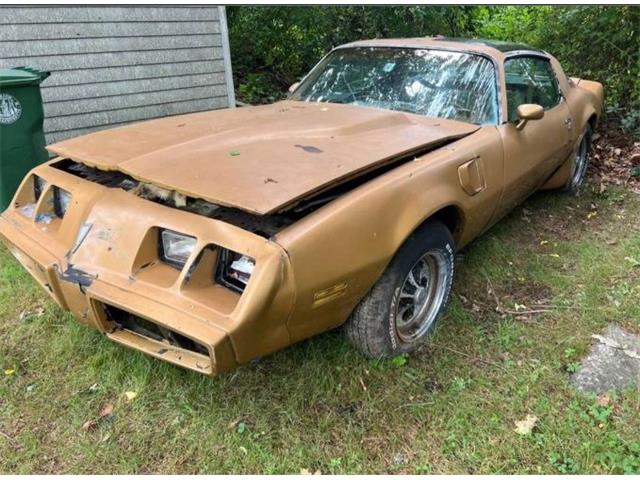 1980 Pontiac Firebird Trans Am (CC-1802834) for sale in Cadillac, Michigan