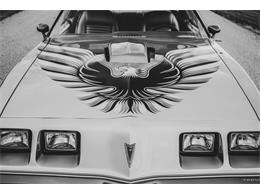 1979 Pontiac Firebird Trans Am (CC-1803051) for sale in Lincoln, Nebraska
