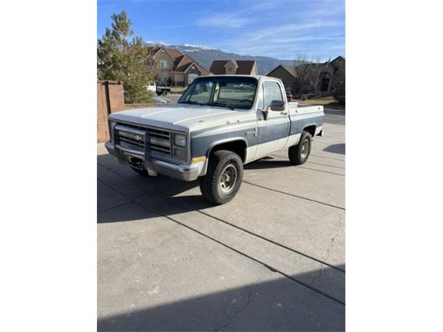 1986 Chevrolet Custom (CC-1803337) for sale in Cadillac, Michigan