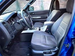 2011 Ford Escape (CC-1803844) for sale in Greeley, Colorado