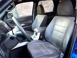 2011 Ford Escape (CC-1803844) for sale in Greeley, Colorado