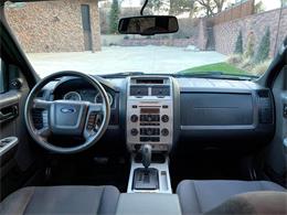 2011 Ford Escape (CC-1803844) for sale in Greeley, Colorado