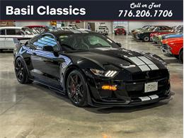 2021 Shelby GT (CC-1803924) for sale in Depew, New York