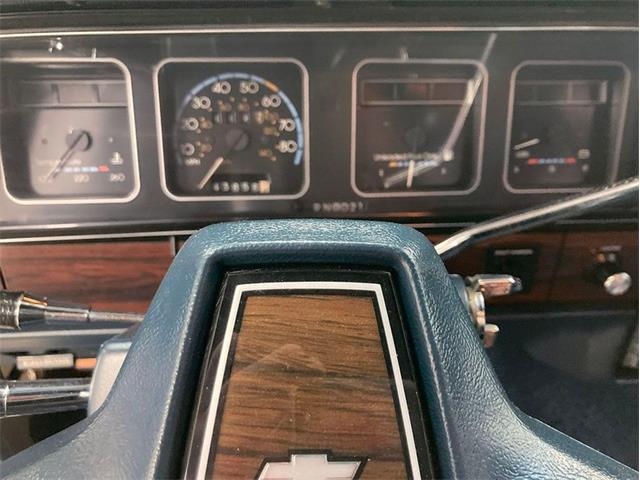 1987 Chevrolet Caprice (CC-1804229) for sale in Depew, New York