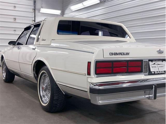 1987 Chevrolet Caprice (CC-1804229) for sale in Depew, New York