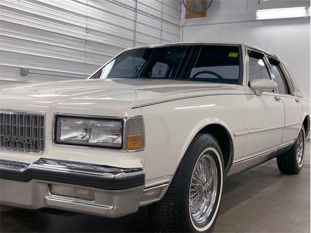 1987 Chevrolet Caprice (CC-1804229) for sale in Depew, New York