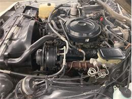 1987 Chevrolet Caprice (CC-1804229) for sale in Depew, New York