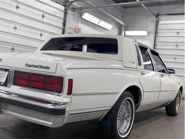 1987 Chevrolet Caprice (CC-1804229) for sale in Depew, New York