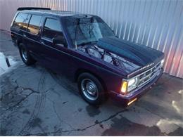 1993 Chevrolet Blazer (CC-1804524) for sale in Cadillac, Michigan
