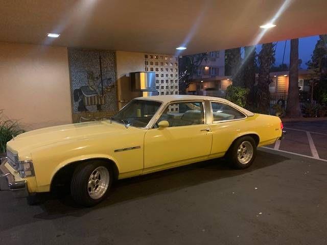 1976 Buick Skylark (CC-1800507) for sale in Cadillac, Michigan