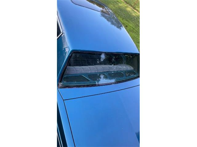 1984 Chevrolet Caprice (CC-1805627) for sale in Cadillac, Michigan