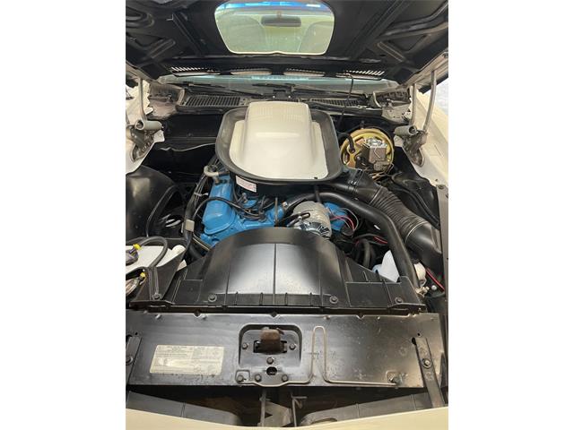 1975 Pontiac Firebird Trans Am (CC-1805662) for sale in Greensboro, North Carolina