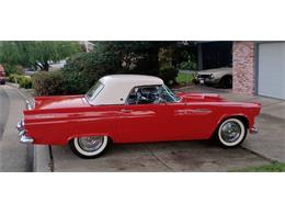 1955 Ford Thunderbird (CC-1805870) for sale in Cadillac, Michigan