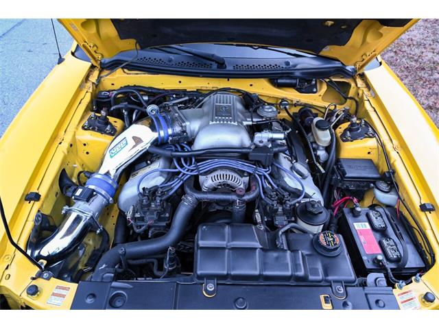 1998 Ford Mustang SVT Cobra (CC-1800612) for sale in Warner Robins, Georgia