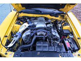 1998 Ford Mustang SVT Cobra (CC-1800612) for sale in Warner Robins, Georgia