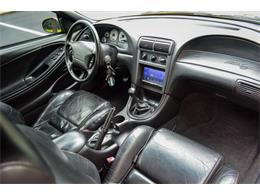1998 Ford Mustang SVT Cobra (CC-1800612) for sale in Warner Robins, Georgia