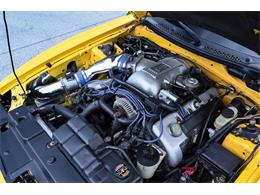 1998 Ford Mustang SVT Cobra (CC-1800612) for sale in Warner Robins, Georgia