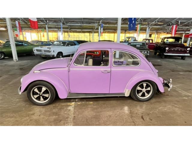 1967 Volkswagen Beetle (CC-1807193) for sale in DeKalb, Illinois