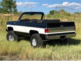 1975 Chevrolet Blazer (CC-1807313) for sale in Cadillac, Michigan