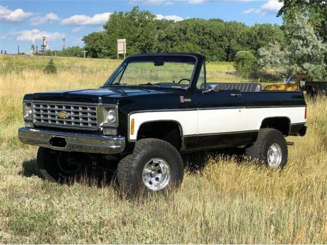 1975 Chevrolet Blazer (CC-1807313) for sale in Cadillac, Michigan