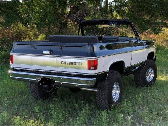1975 Chevrolet Blazer (CC-1807313) for sale in Cadillac, Michigan