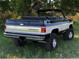 1975 Chevrolet Blazer (CC-1807313) for sale in Cadillac, Michigan