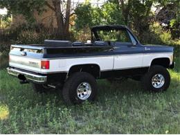1975 Chevrolet Blazer (CC-1807313) for sale in Cadillac, Michigan