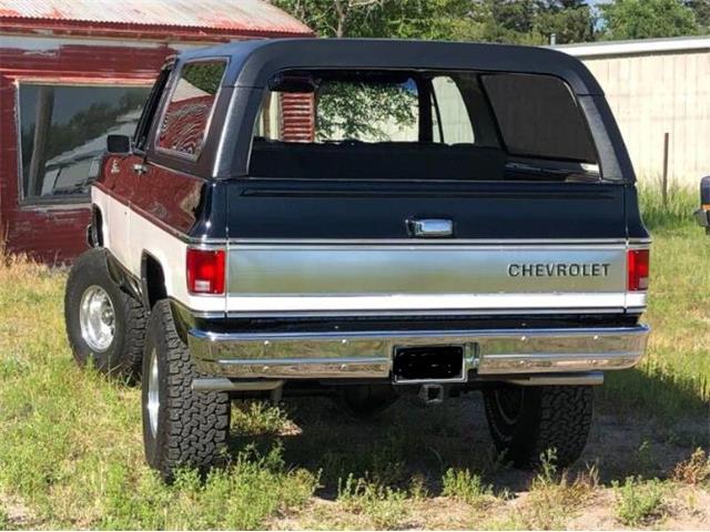 1975 Chevrolet Blazer (CC-1807313) for sale in Cadillac, Michigan